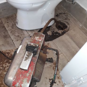 Destapacion de tapa cloacal
